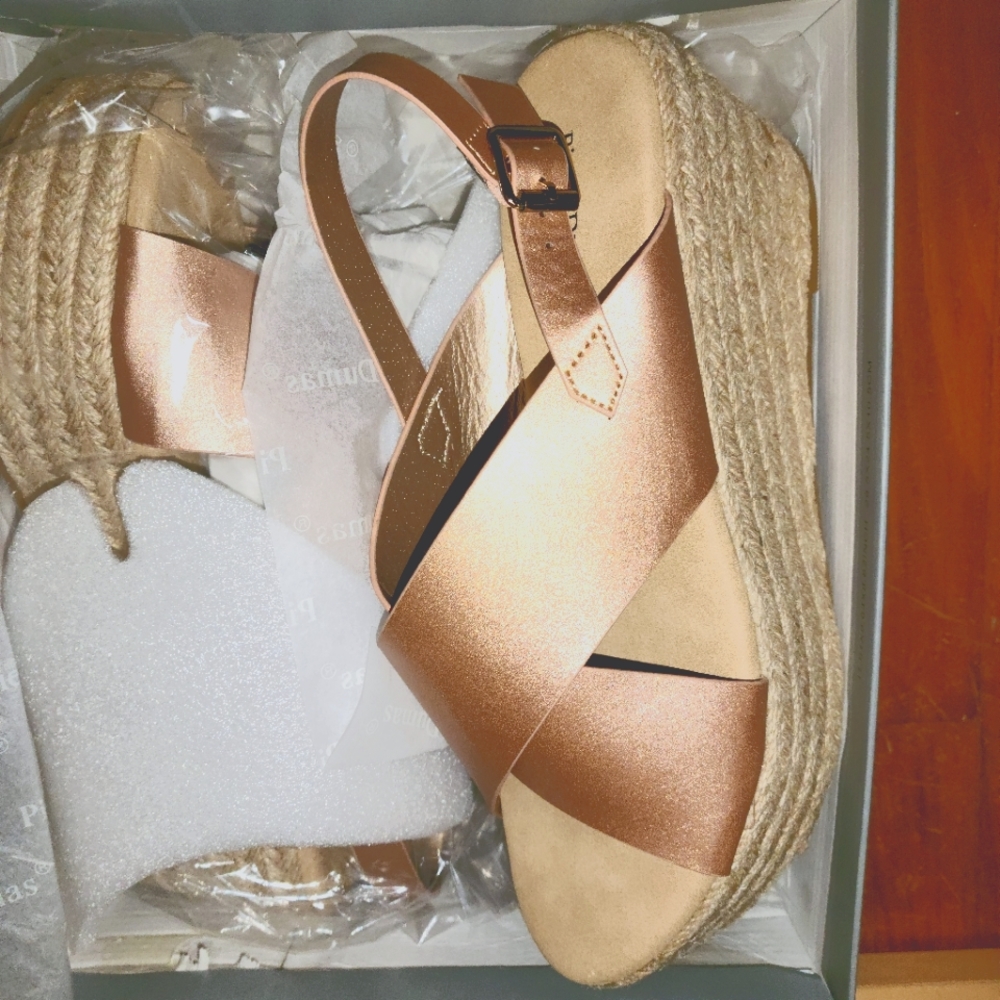 Pierre Dumas, Rose Gold wedge sandals. Size 9 New in box